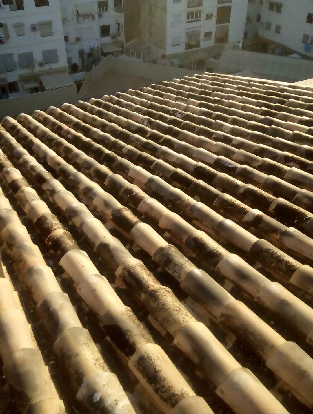 Reparacion de tejado con teja Arabe